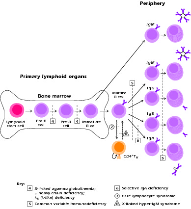 Figure 1.1