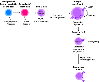 Figure 1.3