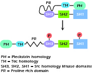 Figure 1.4