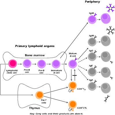 Figure 4.1