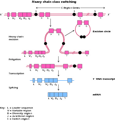 Figure 4.2