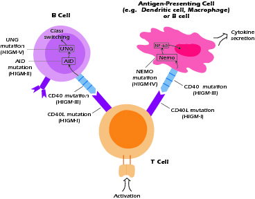 Figure 4.3