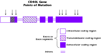 Figure 4.4