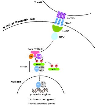 Figure 4.6